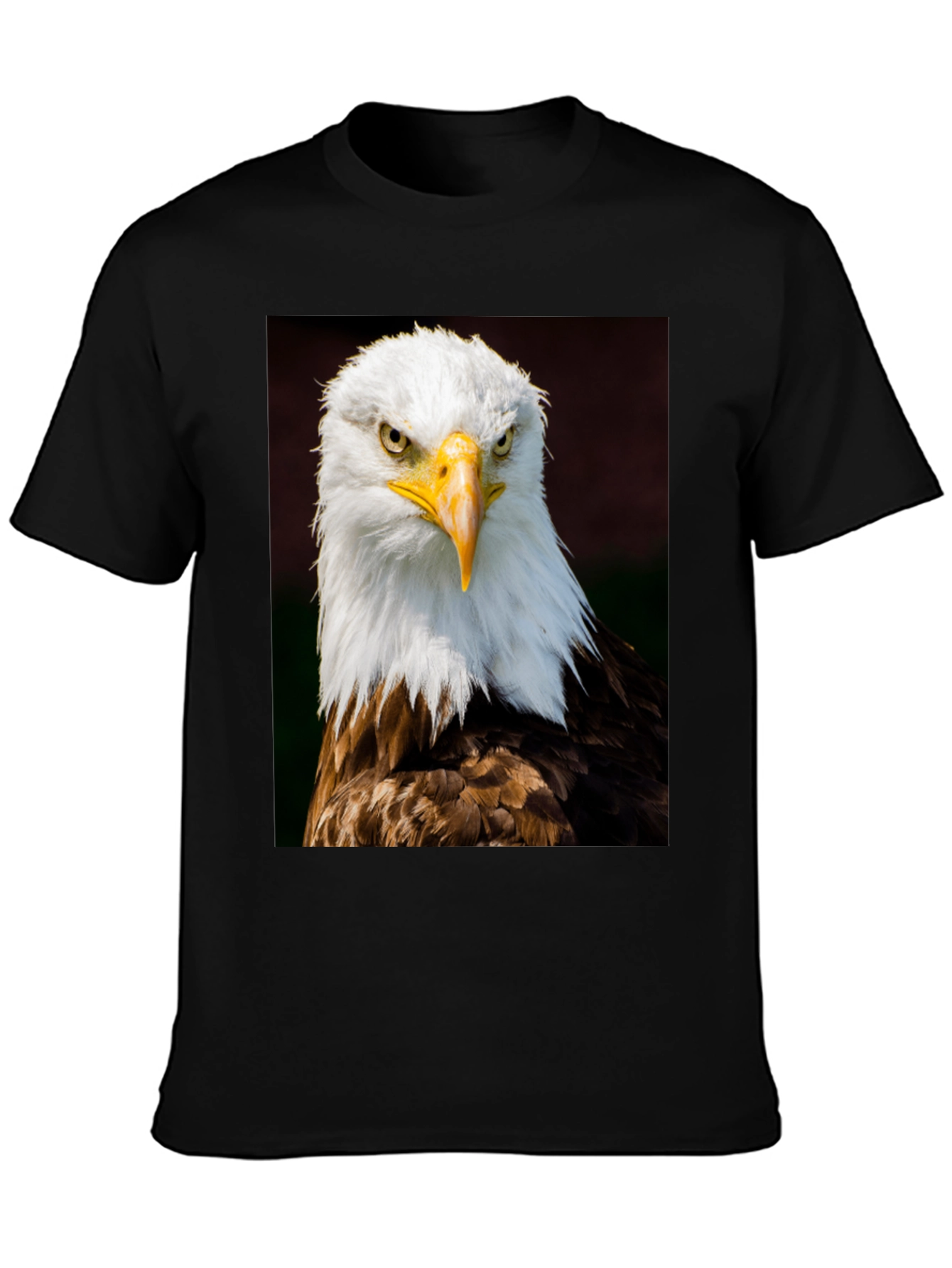 Bald Eagle Graphic Print Black T-Shirt