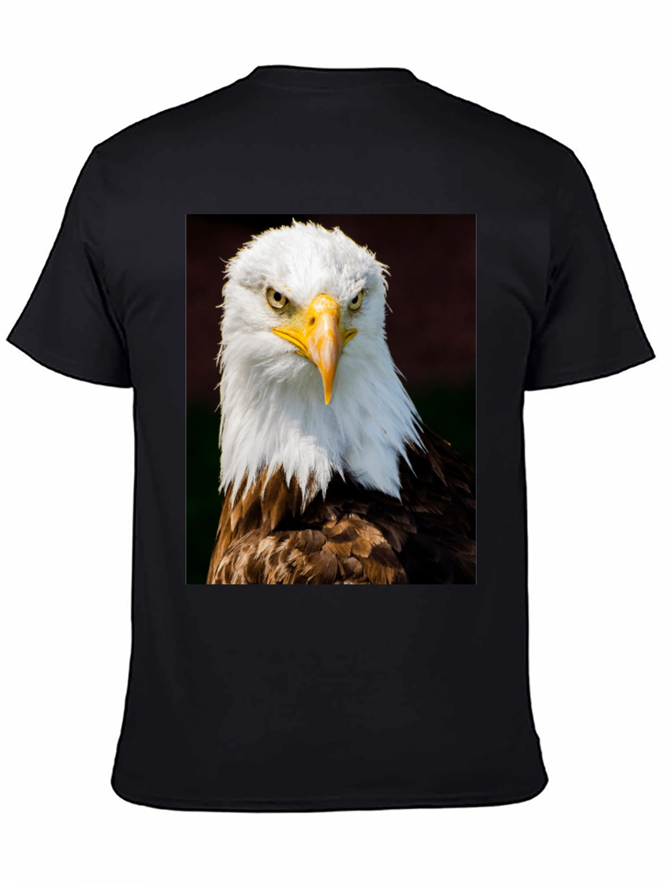Bald Eagle Graphic Print Black T-Shirt