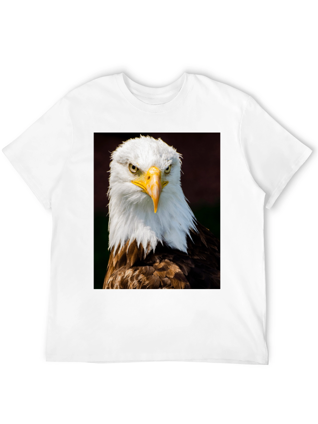 Bald Eagle Graphic Print Black T-Shirt