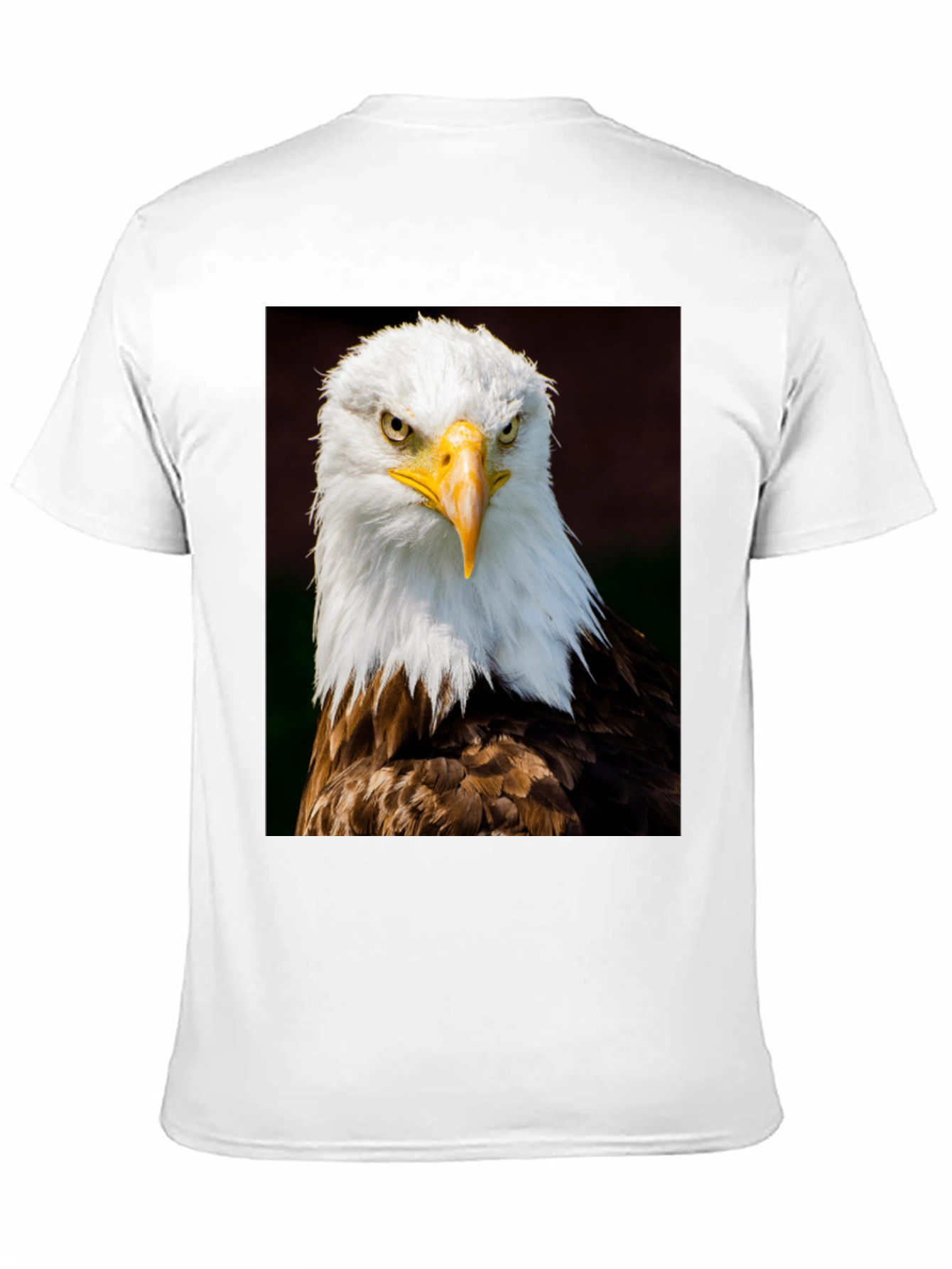 Bald Eagle Graphic Print Black T-Shirt