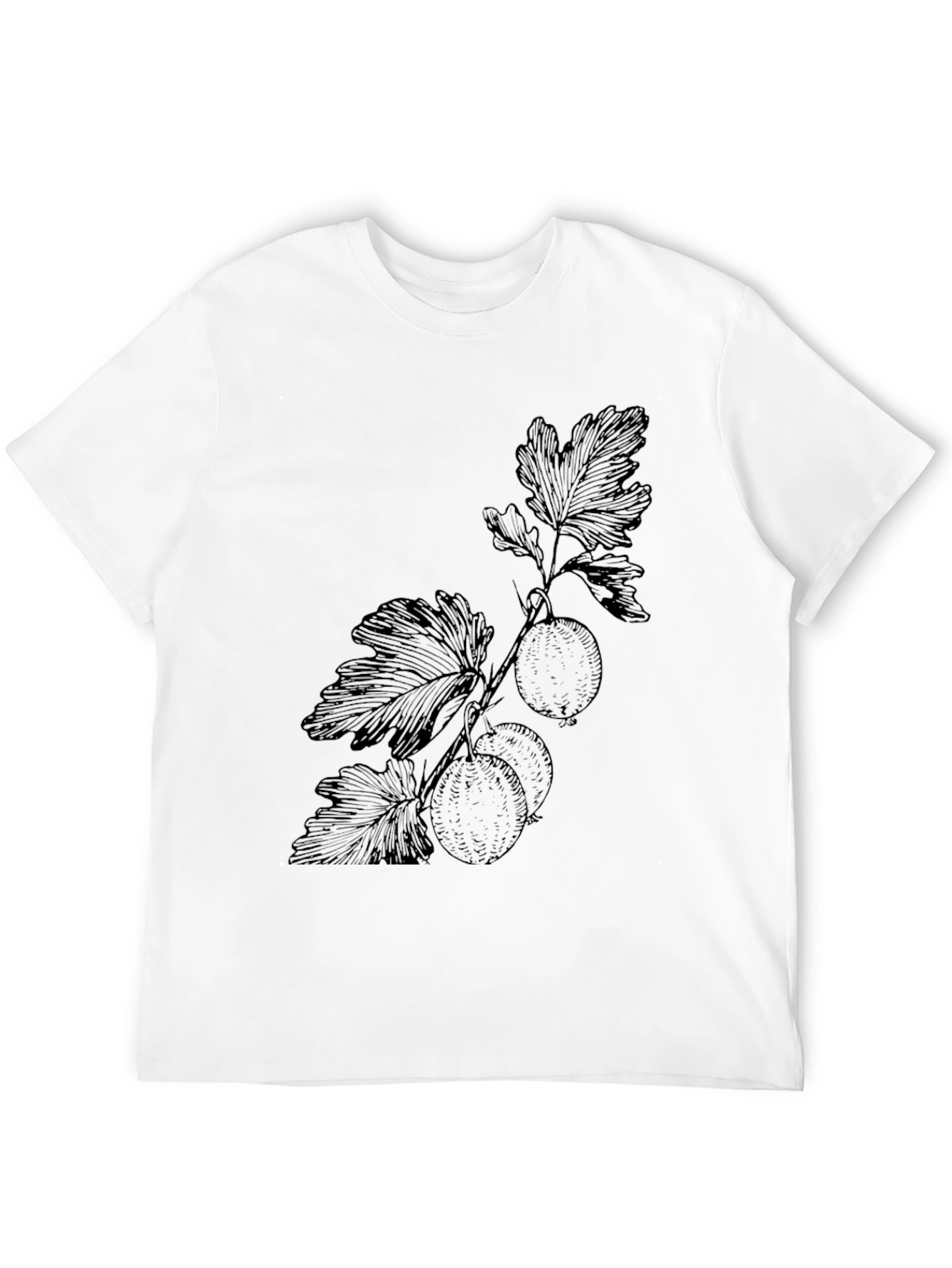Botanical Print Black T-Shirt